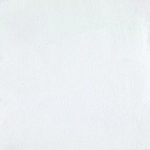 F1 200 Ópalo blanco en polvo 96 COE Frit Frasco de 8.5 oz Suministros para fusión de vidrio OGT Fusible imagen 2