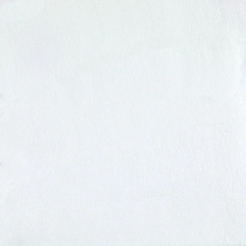 F1 200 Ópalo blanco en polvo 96 COE Frit Frasco de 8.5 oz Suministros para fusión de vidrio OGT Fusible imagen 2