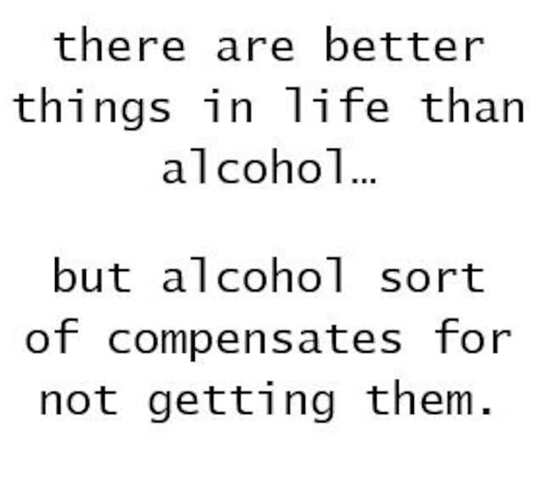 For The Cocktail Lover 2 Funny Drink Quote Cold Drink Etsy