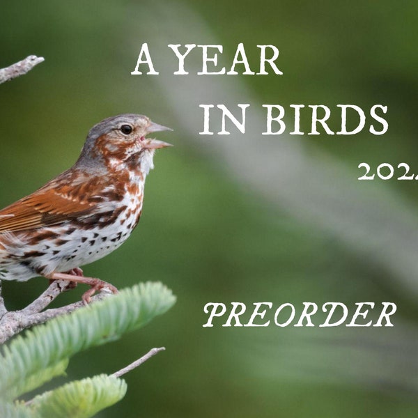 A Year In Birds 2024: A Naturalist's Calendar | 2024 calendar, gifts for bird lovers, birds, Maine, bird photography, bird photo