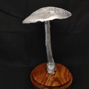 Large Amanita rubescens cast in aluminum displayed on a stained wood base image 2