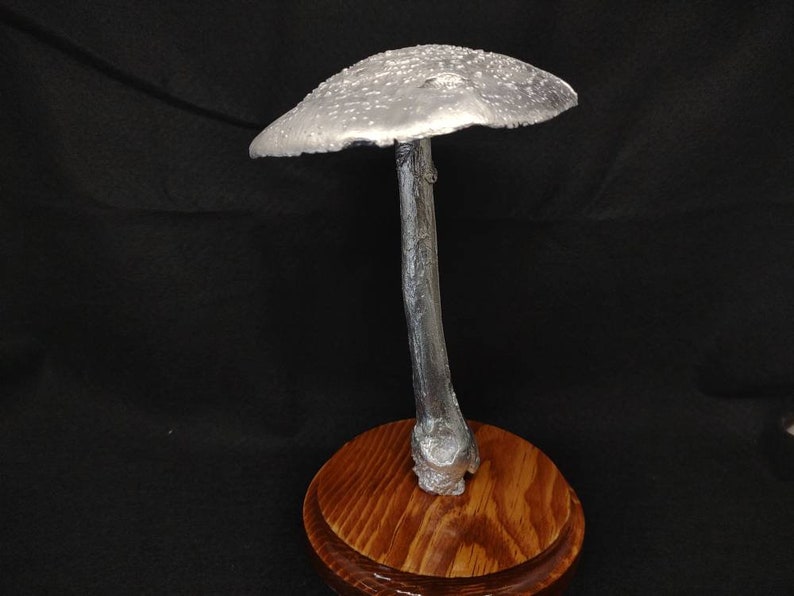 Large Amanita rubescens cast in aluminum displayed on a stained wood base image 2