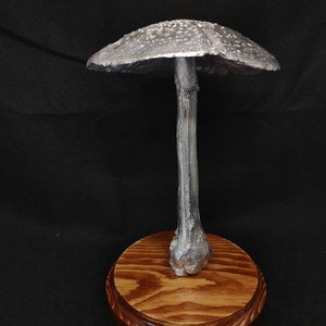 Large Amanita rubescens cast in aluminum displayed on a stained wood base image 1