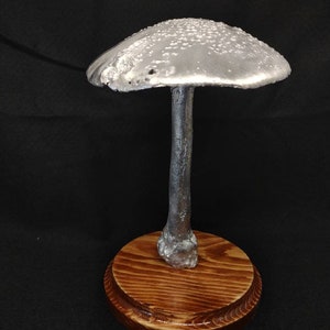 Large Amanita rubescens cast in aluminum displayed on a stained wood base image 4