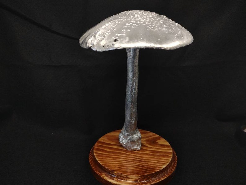 Large Amanita rubescens cast in aluminum displayed on a stained wood base image 4