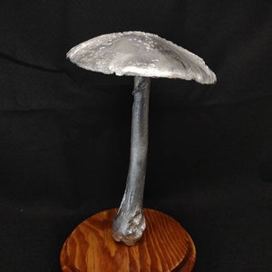 Large Amanita rubescens cast in aluminum displayed on a stained wood base image 3