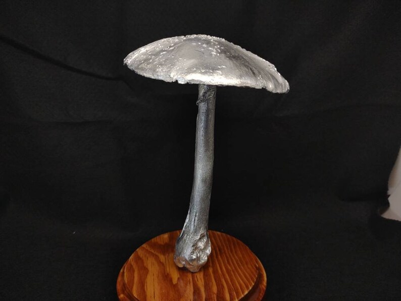 Large Amanita rubescens cast in aluminum displayed on a stained wood base image 3