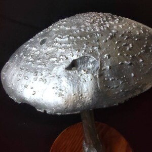 Large Amanita rubescens cast in aluminum displayed on a stained wood base image 6