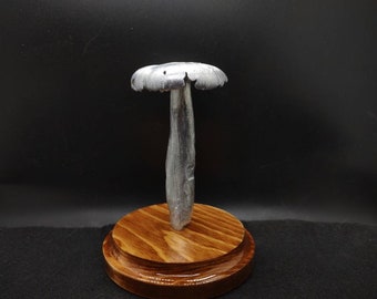 A Medium sized Trich mushroom displayed on a stained wood base