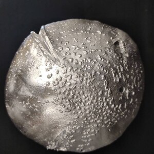 Large Amanita rubescens cast in aluminum displayed on a stained wood base image 8