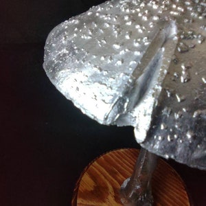 Large Amanita rubescens cast in aluminum displayed on a stained wood base image 7