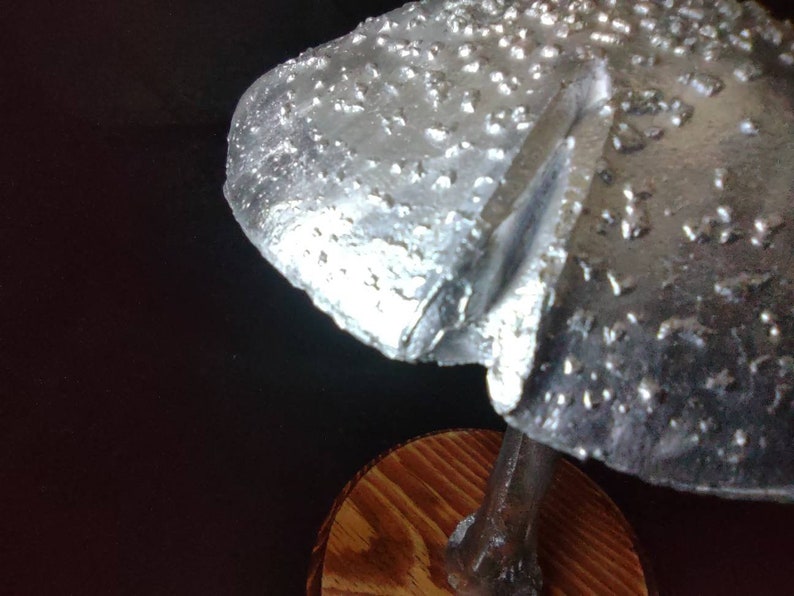 Large Amanita rubescens cast in aluminum displayed on a stained wood base image 7