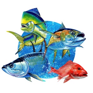 Mahi Pelagic Fish 