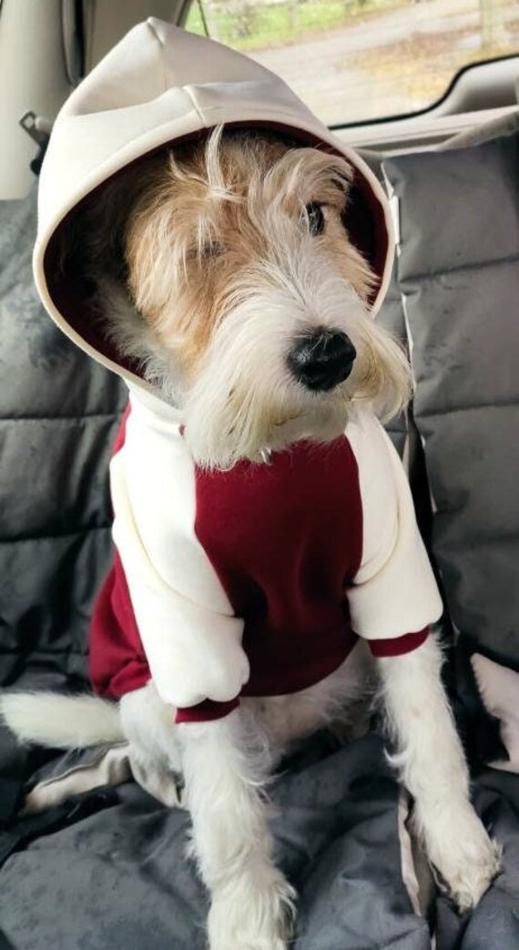 Pull Sweat Bicolore Pour Chien, Disponible en Plusieurs Tailles. Bordeaux et Écru