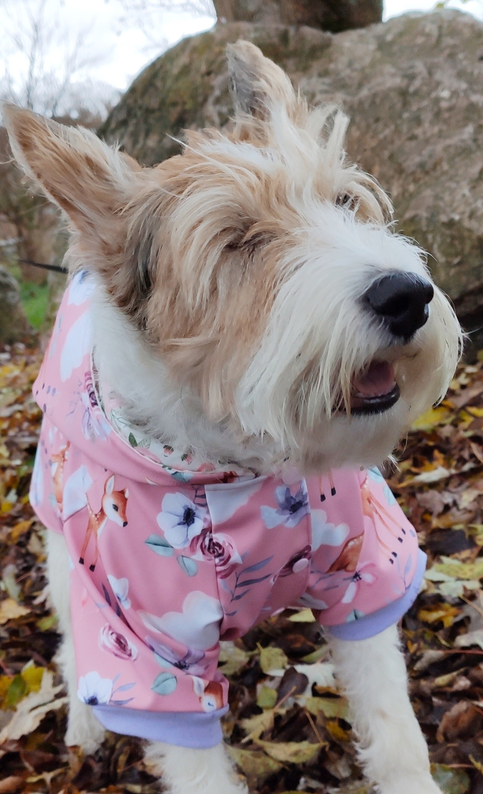 Manteau Chien Hiver Déperlante, Coupe Vent et Réversible