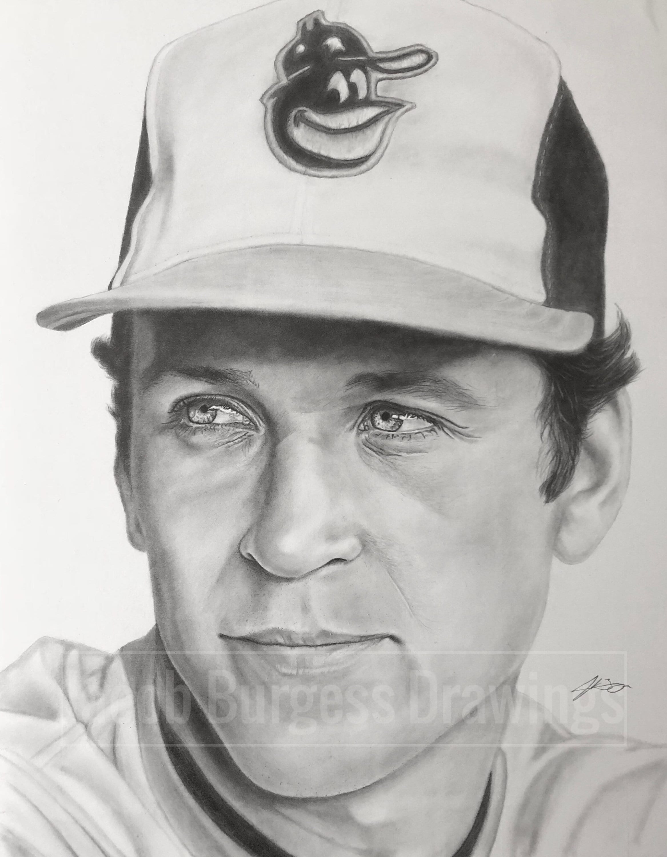 Cal Ripken Jr Pencil Drawing Print 11