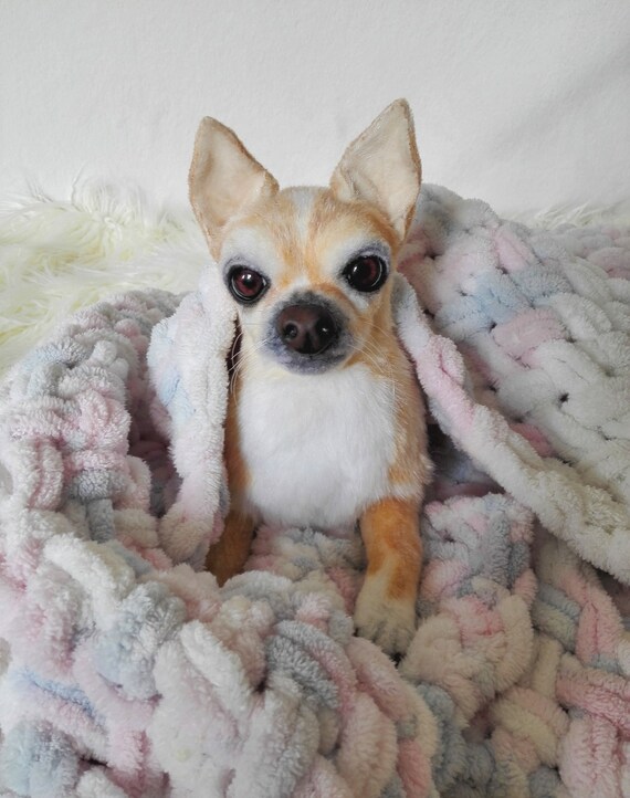 realistic stuffed chihuahua