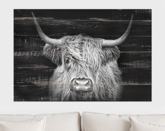 Highland Cow on a Black Wooden Background Black and White Canvas Print, Ready to Hang