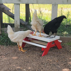 Chick Nic Picnic Table Chickens Small Animals Large - 19x17x8" Small - 13.25x16x7"