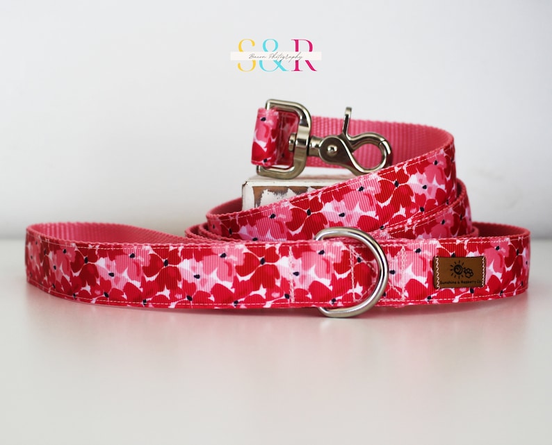 Pretty Red and Pink Floral Dog Collar, Spring Floral Dog Collar, Handmade Dog Collar, Vegan Dog Collar, Spring Gift, Optional Dog Lead imagen 10