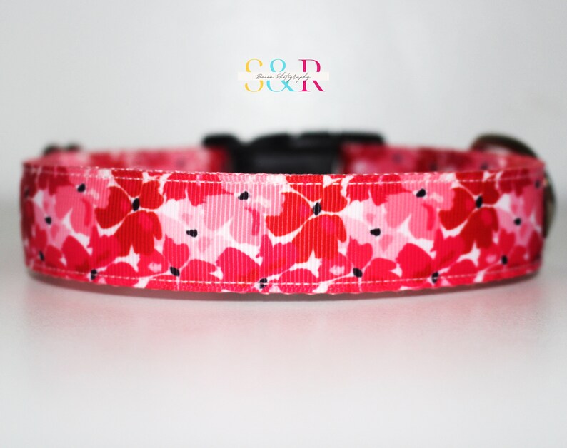 Pretty Red and Pink Floral Dog Collar, Spring Floral Dog Collar, Handmade Dog Collar, Vegan Dog Collar, Spring Gift, Optional Dog Lead imagen 4