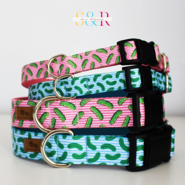 Dill Pickle Dog Collar: Pink or Blue Adjustable Collar