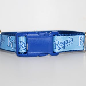 May include: Blue and light blue dog collar with a blue plastic buckle. The collar has the words "Royals" and "KC" printed on it.