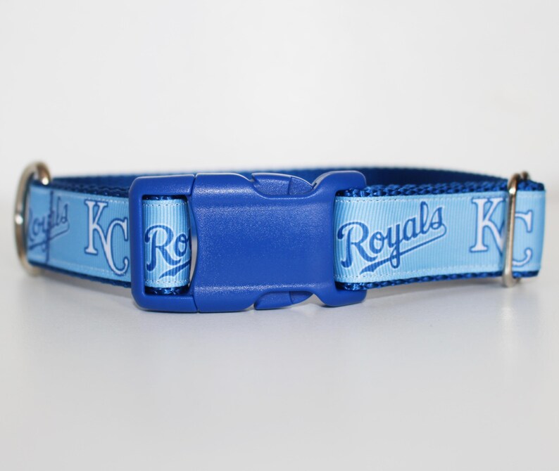 May include: Blue and light blue dog collar with a blue plastic buckle. The collar has the words "Royals" and "KC" printed on it.