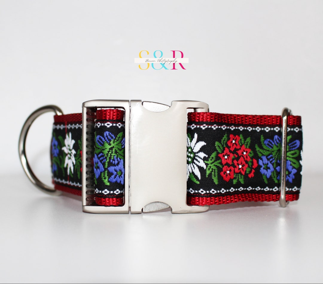 2 Extra Wide Dog Collar, Swiss Dog Collar, Edelweiss Dog Collar