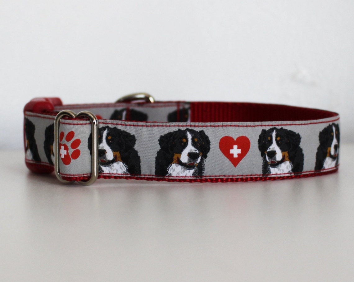 Wide Dog Collar Bernese Mountain Dog Swiss Mountain Dog Etsy