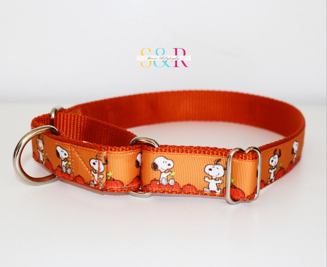 Fall Dog Collar Halloween Dog Collar Orange Dog Collar Etsy