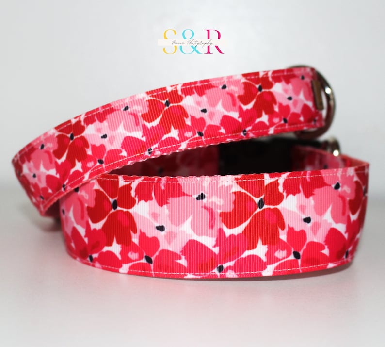 Pretty Red and Pink Floral Dog Collar, Spring Floral Dog Collar, Handmade Dog Collar, Vegan Dog Collar, Spring Gift, Optional Dog Lead imagen 1