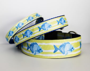 Beach Dog Collar, Coastal Fish Dog Collar, Blue Striped Summer Dog Collar, Nautical Ocean Dog Collar, Boy Dog Collar, Adjustable XXS–2XL