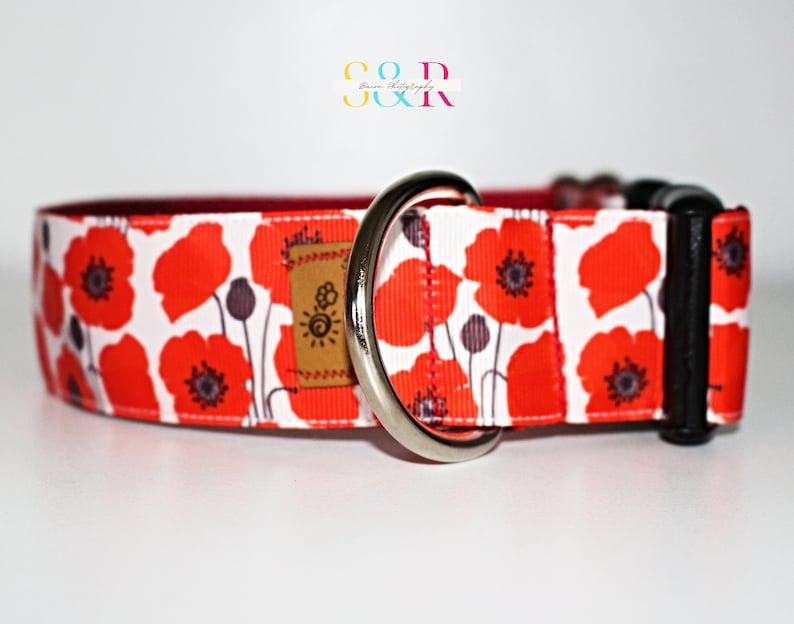 May include: A white dog collar with a red poppy print and a silver D-ring. The collar has a black buckle.