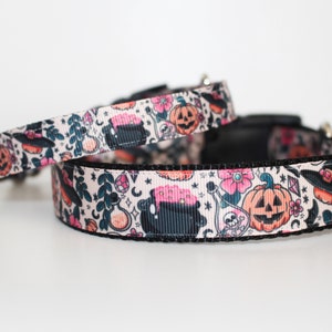May include: Two Halloween-themed dog collars. The collars feature a repeating pattern of pumpkins, witch hats, cauldrons, and floral elements in pink, orange, teal, and black on a cream background. The collars have black edges and silver hardware.