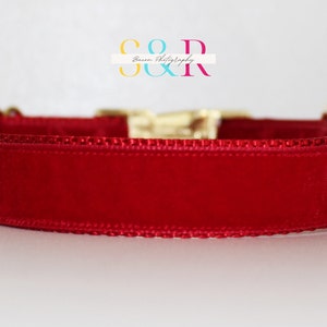 Puede incluir: Un collar de perro de terciopelo rojo con una hebilla dorada. El collar est&aacute; hecho de terciopelo suave y afelpado y tiene un dise&ntilde;o cl&aacute;sico.