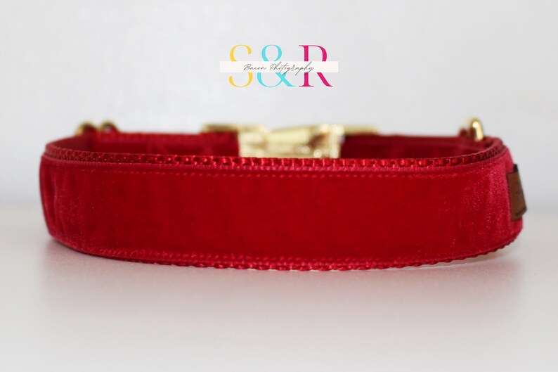 Puede incluir: Un collar de perro de terciopelo rojo con una hebilla dorada. El collar est&aacute; hecho de terciopelo suave y afelpado y tiene un dise&ntilde;o cl&aacute;sico.