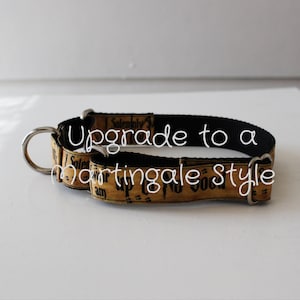 Martingale Style Dog Collar