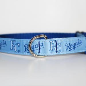 May include: A light blue dog collar with a blue and white Kansas City Royals logo pattern.