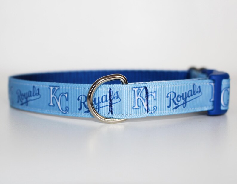May include: A light blue dog collar with a blue and white Kansas City Royals logo pattern.