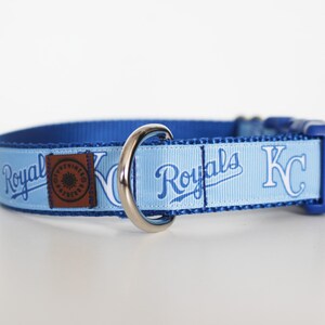 May include: A light blue dog collar with a blue and white Kansas City Royals logo. The collar has a silver metal D-ring.