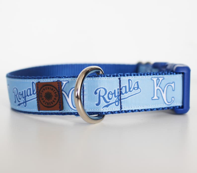 May include: A light blue dog collar with a blue and white Kansas City Royals logo. The collar has a silver metal D-ring.
