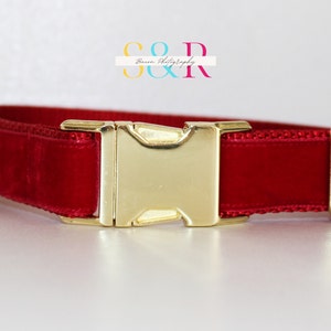 Puede incluir: Collar de perro de terciopelo rojo con hebilla dorada y anilla en D.