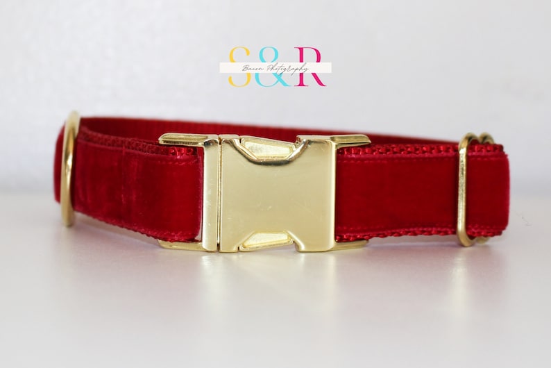 Puede incluir: Collar de perro de terciopelo rojo con hebilla dorada y anilla en D.