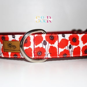 May include: Red and white dog collar with a poppy flower pattern. The collar has a silver D-ring and a black plastic buckle. The collar is labeled "Sunshine & Raspberry Co."