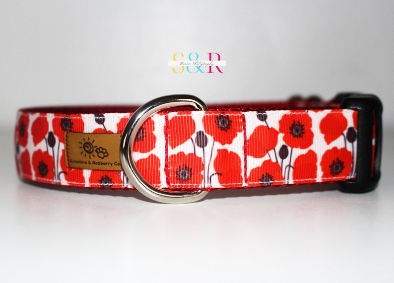 May include: Red and white dog collar with a poppy flower pattern. The collar has a silver D-ring and a black plastic buckle. The collar is labeled "Sunshine & Raspberry Co."