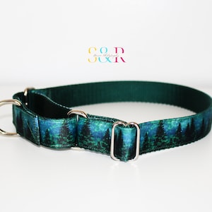 Forest Dog Collar - Night Sky Dog Collar - Into the Woods 1&quot; wide Martingale Dog Collar and Optional Leash Set