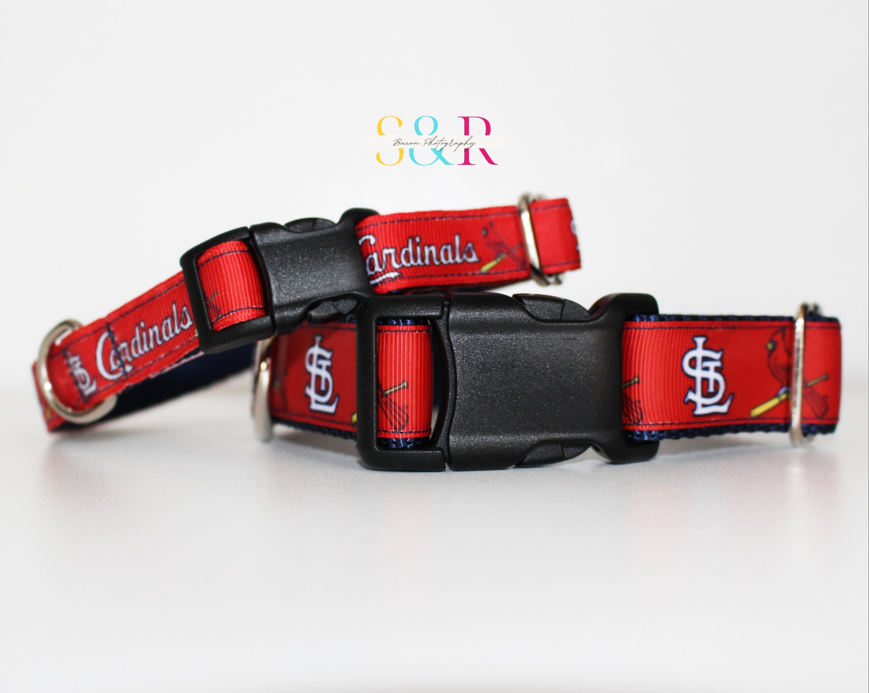 Saint Louis Cardinals Dog Collar - St Louis Cardinals Dog Collar - Boy Dog  Collar - Girls Dog Collar - Dog Collar and Leash Set