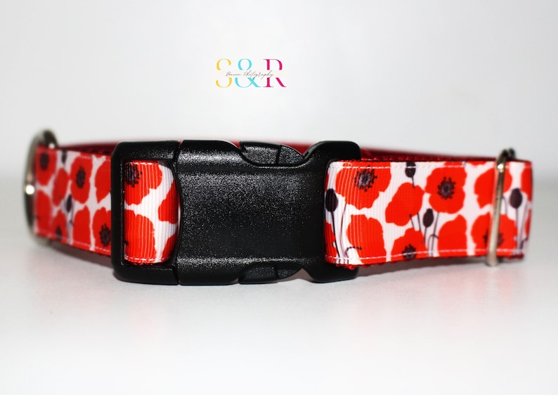 May include: Red and white dog collar with a black buckle and a poppy flower pattern.