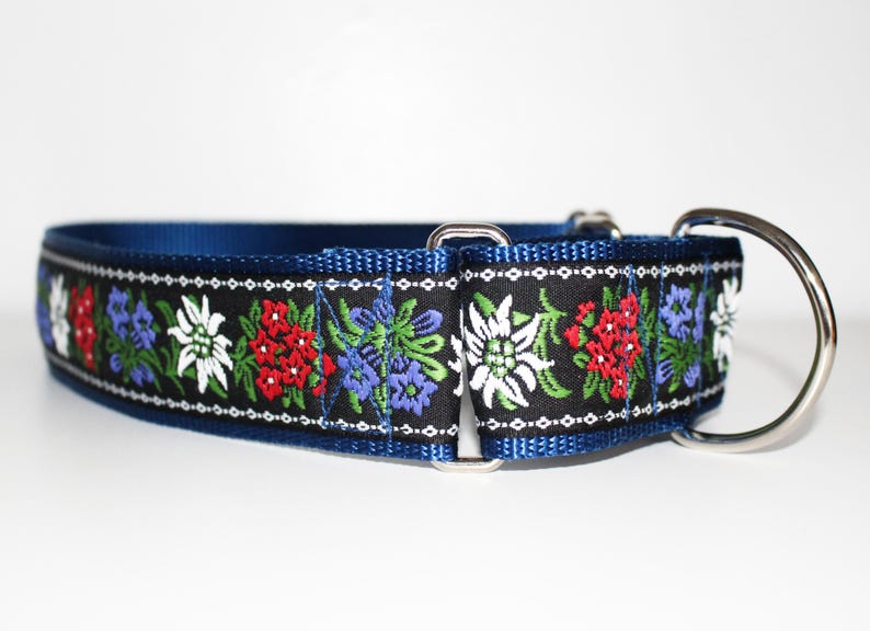 2" Wide Edelweiss Martingale Dog Collar, Swiss Dog Collar, Bernese Mountain Dog Collar, St Bernard Dog Collar, Sennehund Blue